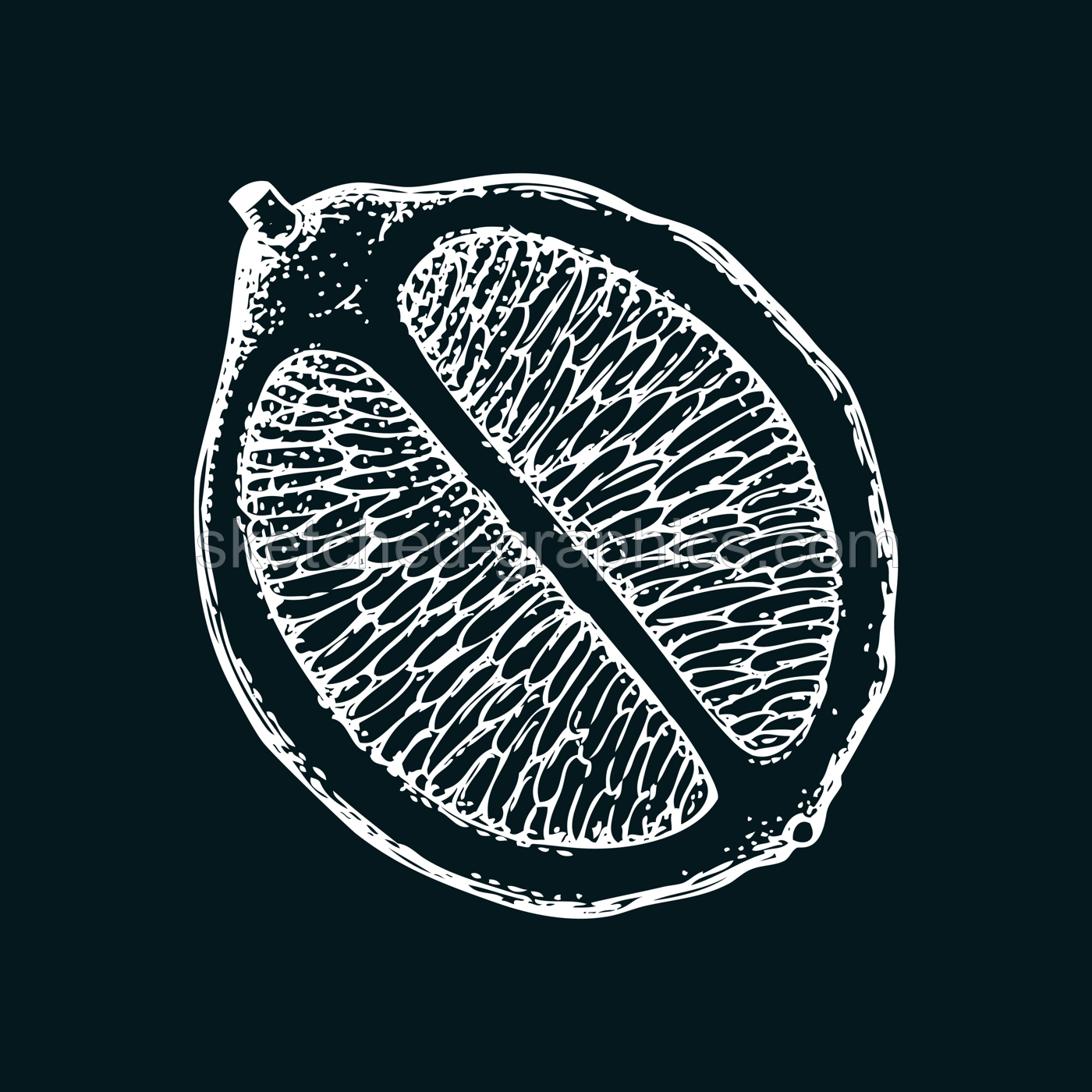 Vintage lime sketch on chalkboard. Citrus fruit slice hand-drawn vector illustration. Exotic plant drawing in engraved style. Botanical design element. NOT AI-generated Illustration